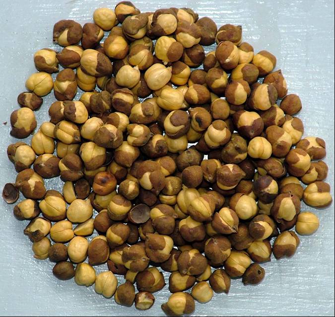 Dariya - Roasted Chana