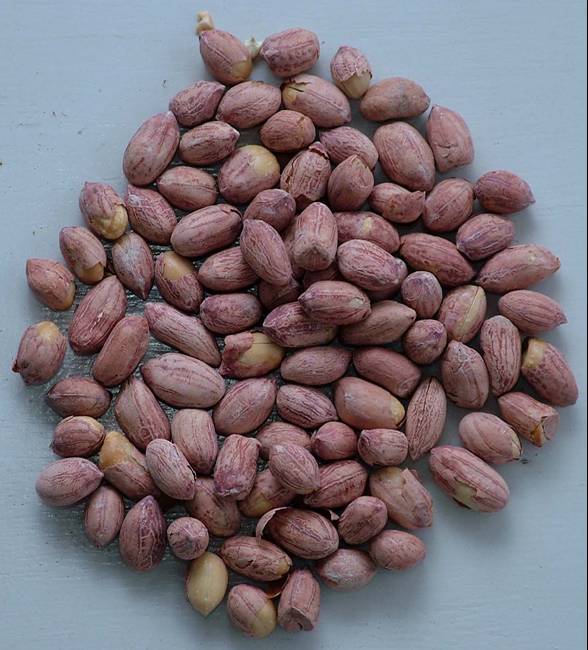 Roasted peanuts