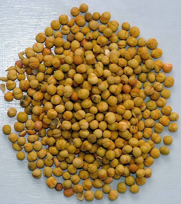 Vatana - Roasted Peas